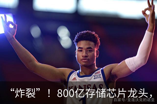 “炸裂”！800亿存储芯片龙头，第三季度净利润增长超2900%